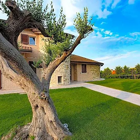 Madonna Carradori Country Bed & Breakfast Offagna